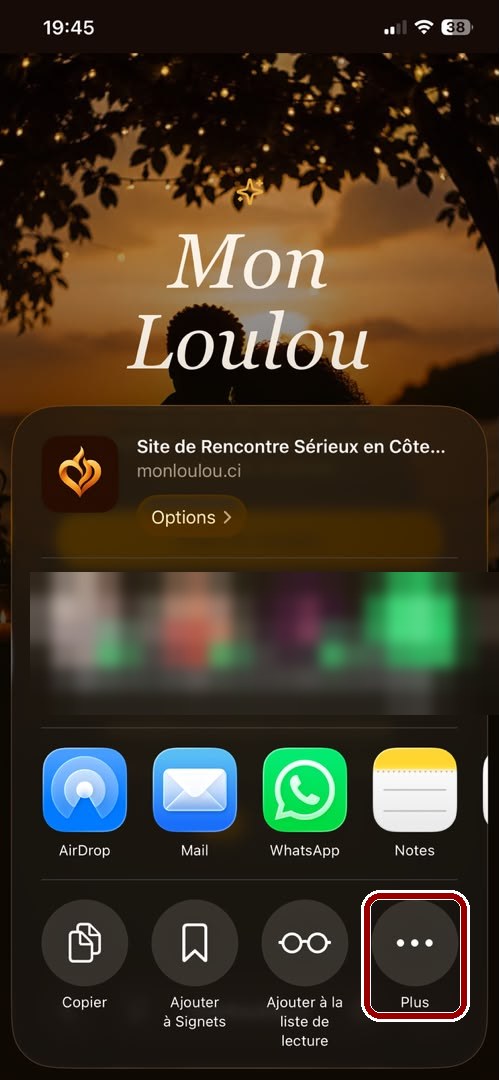 Fenêtre de partage de l’iPhone avec le bouton Plus entouré en rouge